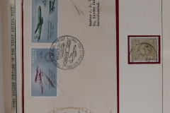 Lot-978_003