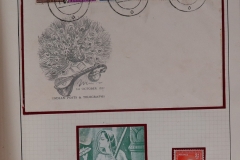 Lot-978_004