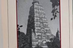 Lot-978_100
