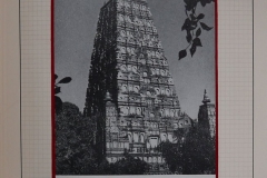 Lot-978_108