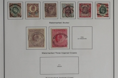 Lot-1197_13