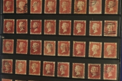 Lot-1197_16